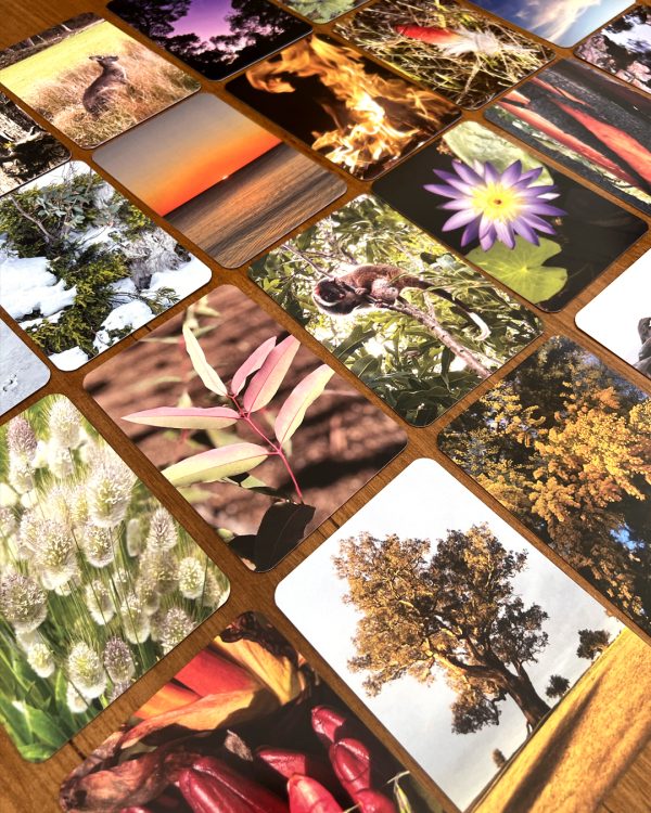Nature Medicine Connection Guidance Cards - Image 3