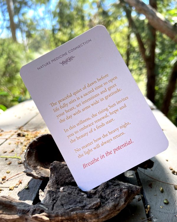 Nature Medicine Connection Guidance Cards - Image 5