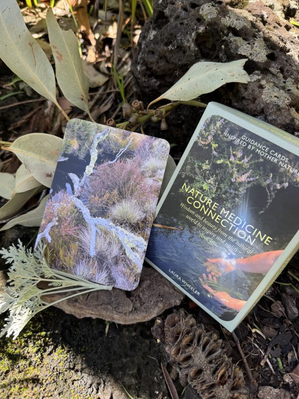 Nature Medicine Connection Guidance Cards - Image 8